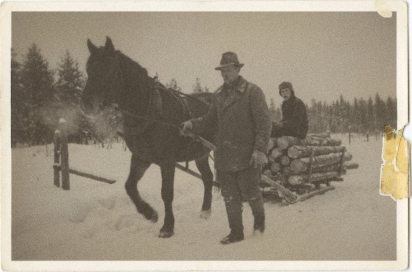Retouched family-history illustration: bringing timber down in winter